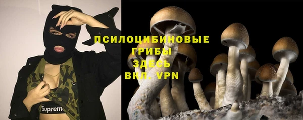 кокаин премиум Каменногорск