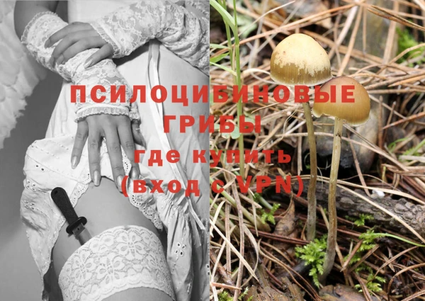 прущий лед Фурманов