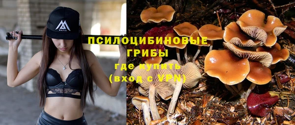 ГАЛЛЮЦИНОГЕННЫЕ ГРИБЫ Куйбышев