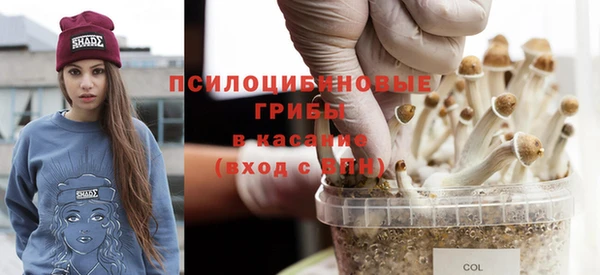 меф Каменка