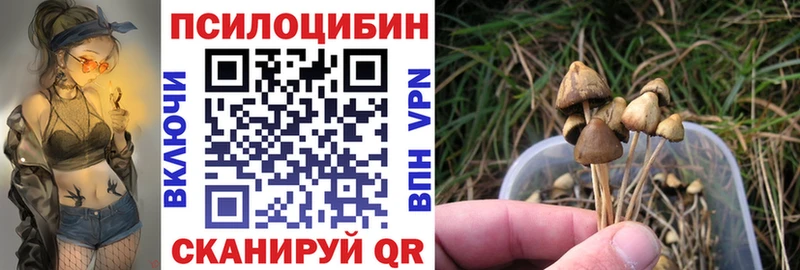 Галлюциногенные грибы мицелий  Ульяновск 