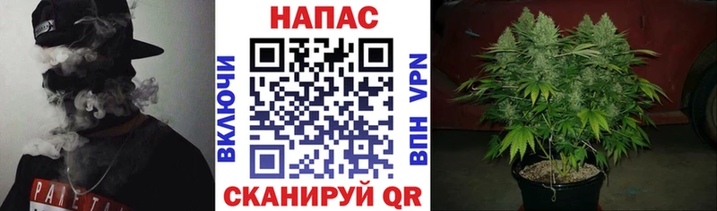 дарк нет какой сайт  Ульяновск  Каннабис планчик 
